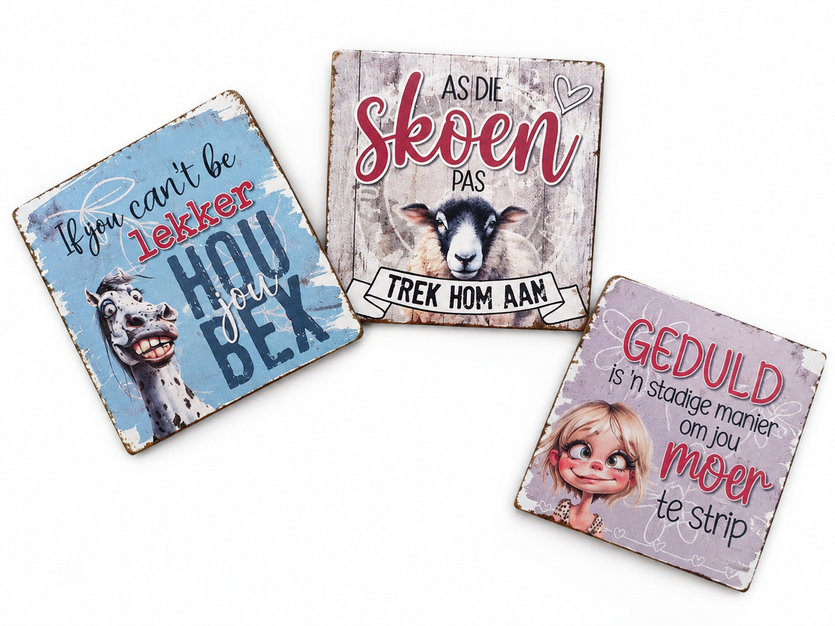 Idioms Magnets Set of 3