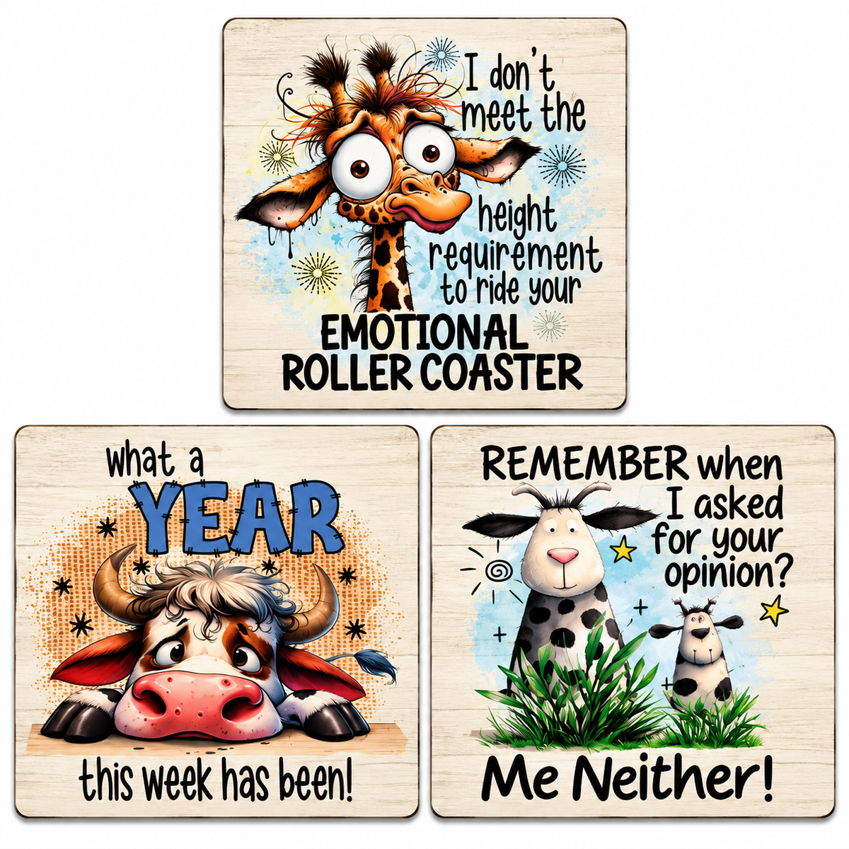 Sarcastic Coasters Set of 3 (F)