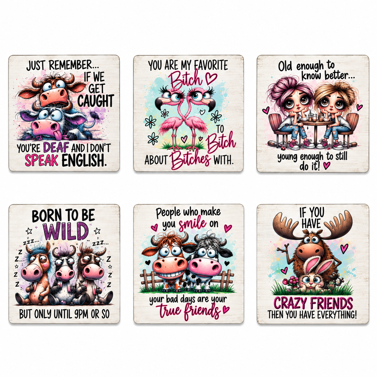 Sarcastic Coasters Set of 6 (C)