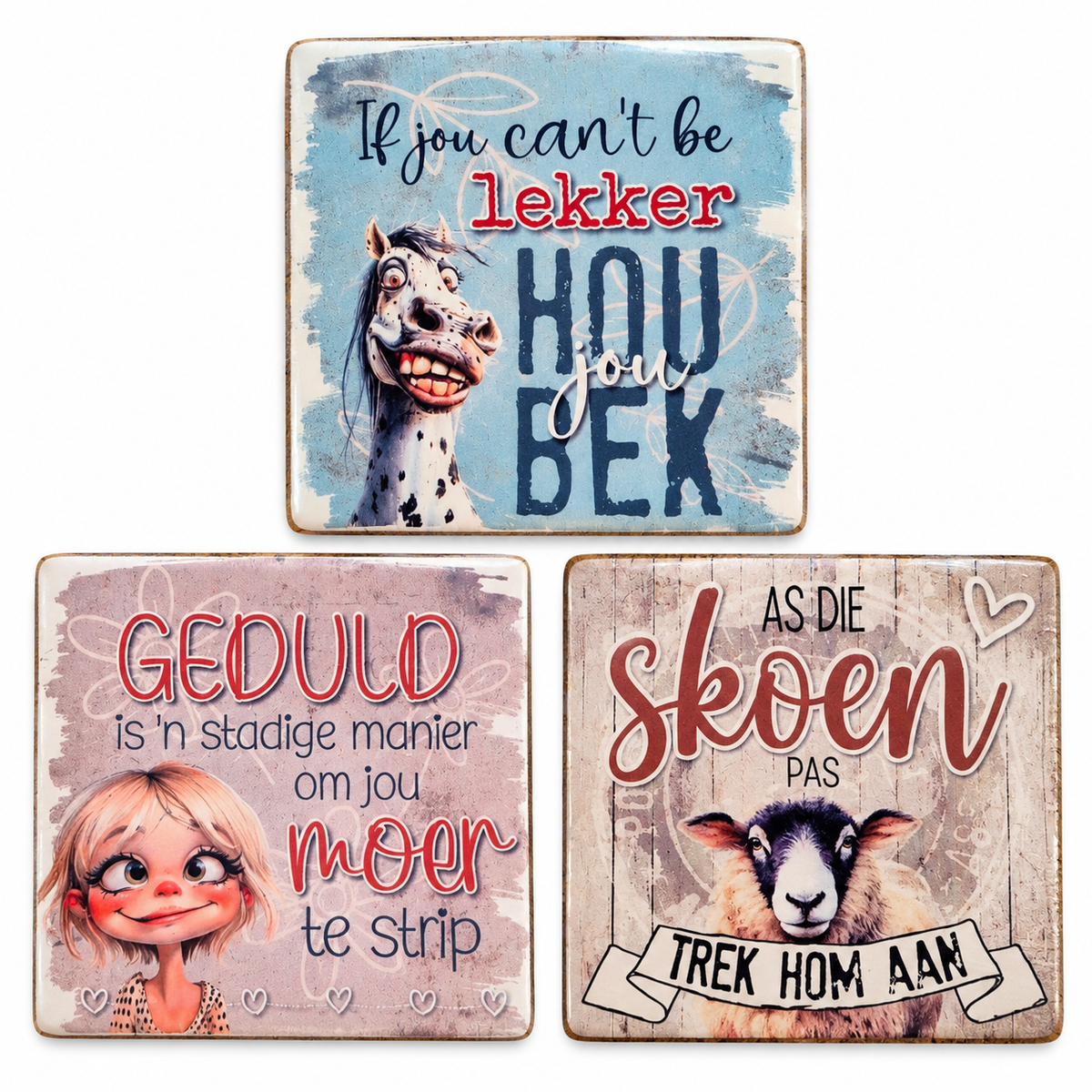 Idioms Magnets Set of 3