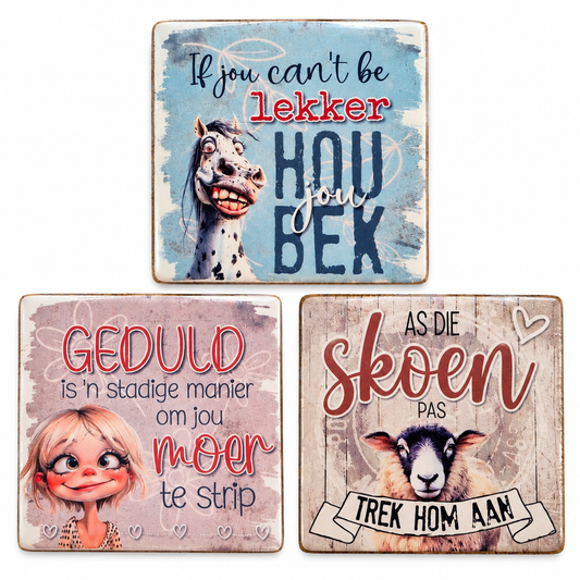 Idioms Magnets Set of 3 (E)