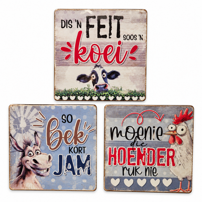 Idioms Magnets Set of 3