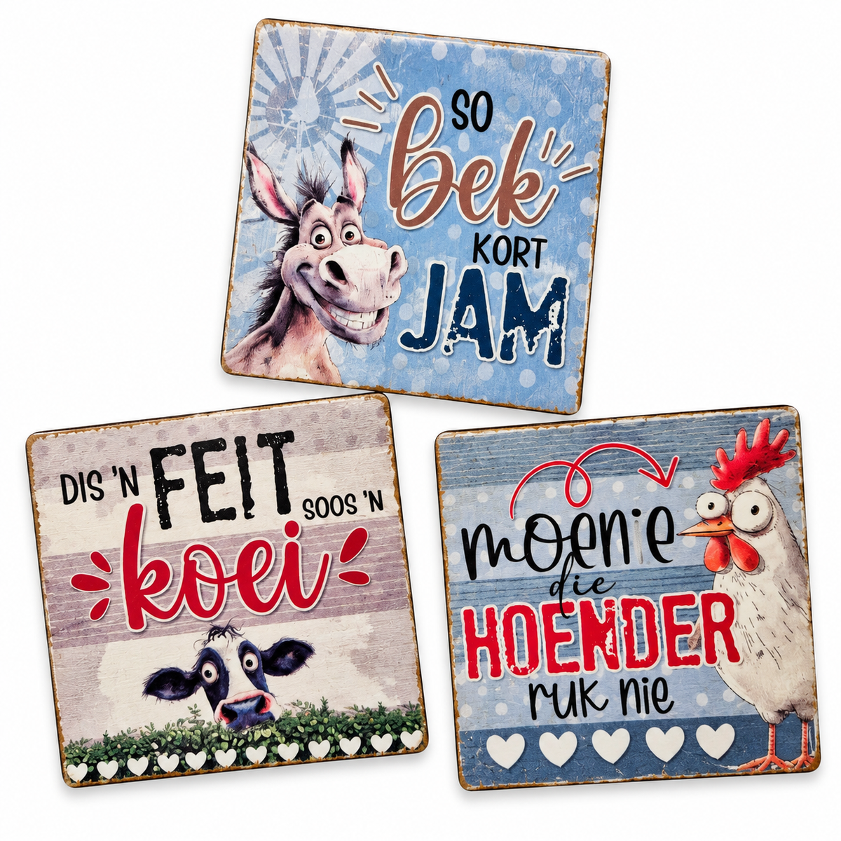Idioms Magnets Set of 3
