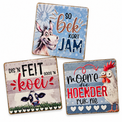 Idioms Magnets Set of 3