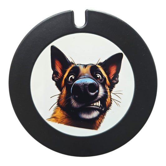 You say what? Licence Disc Holder