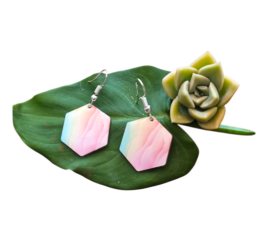 PASTEL SPLASH HEXAGON EARRINGS (In Wooden Gift Box)