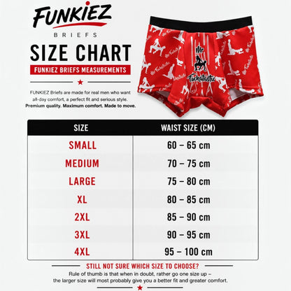Mr F@ckatastic Funky Retro Briefs. — view 3