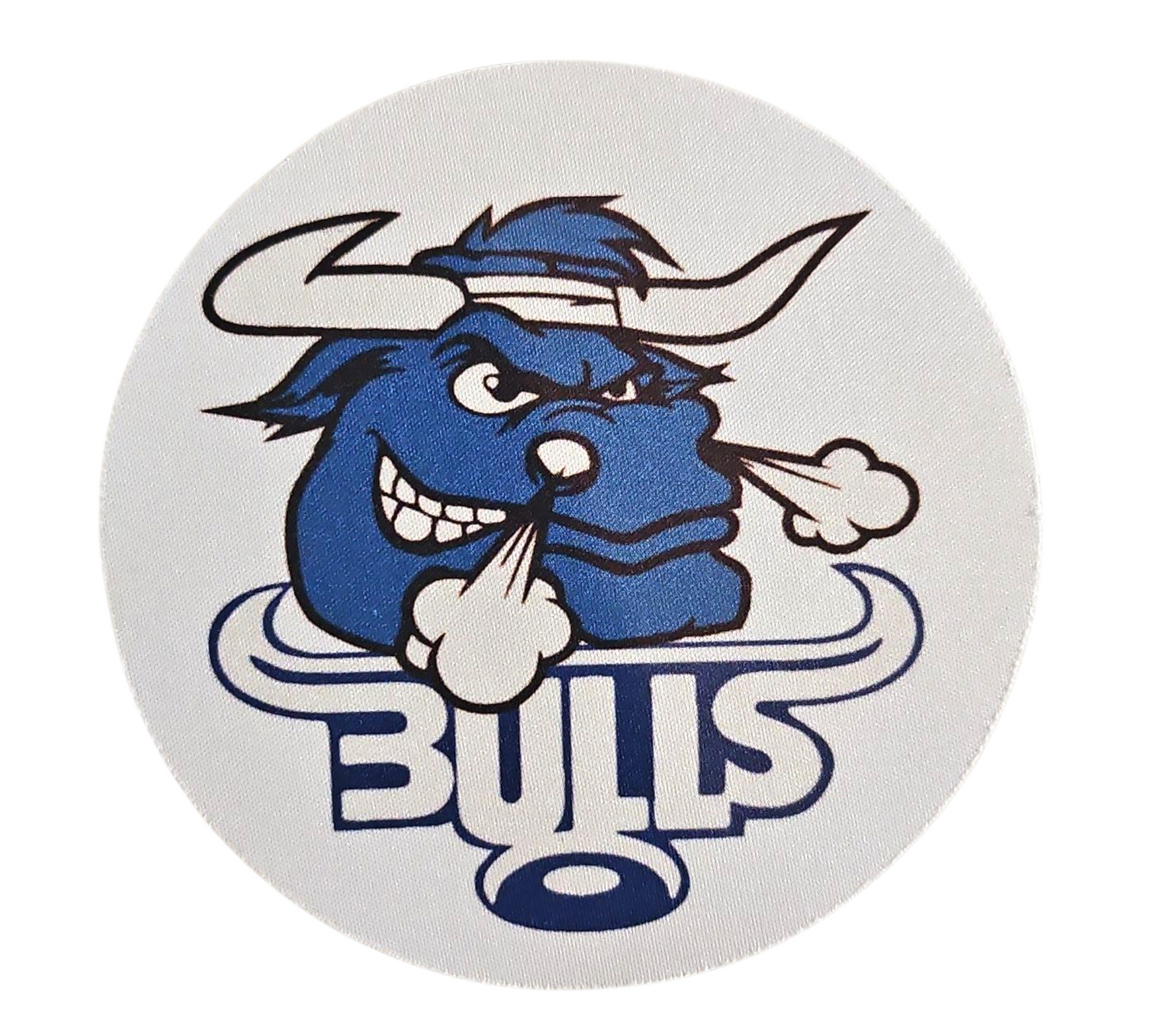 BLUE BULLS COASTER