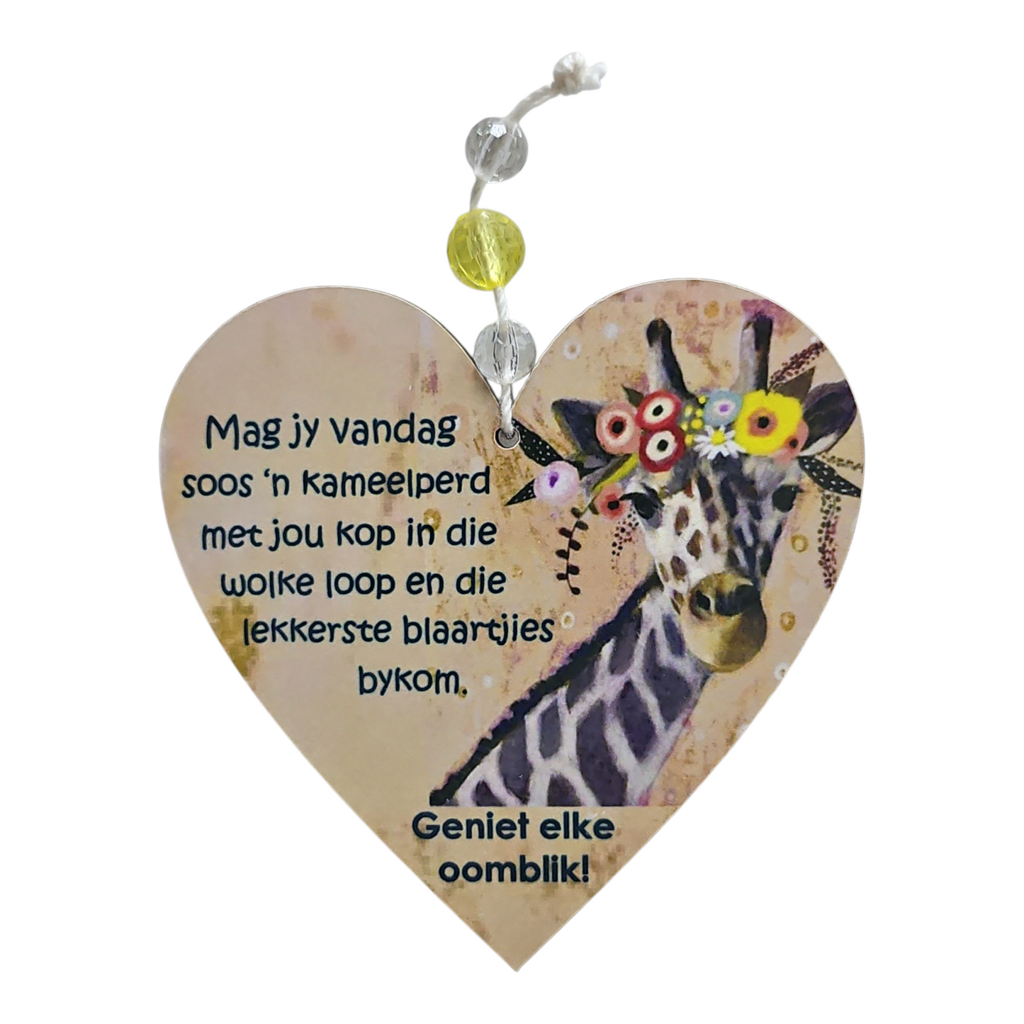 VERJAARSDAG KAMEELPERD Tag