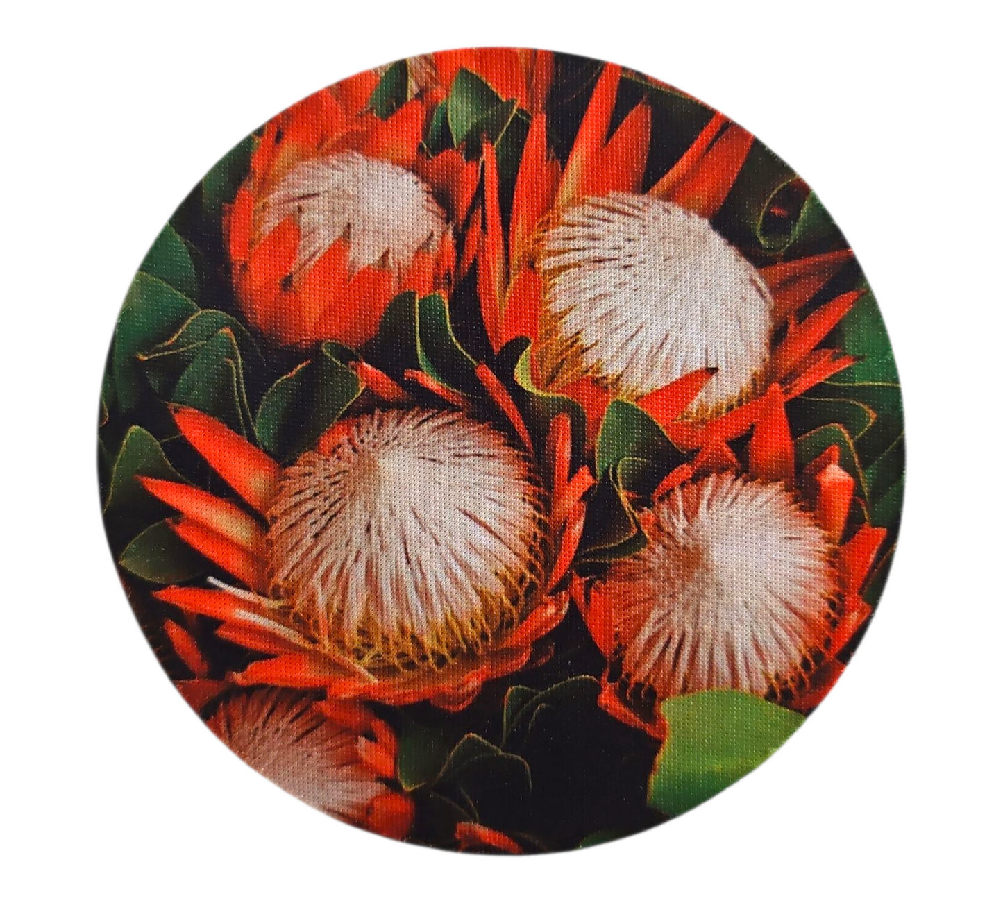 PROTEA COASTER