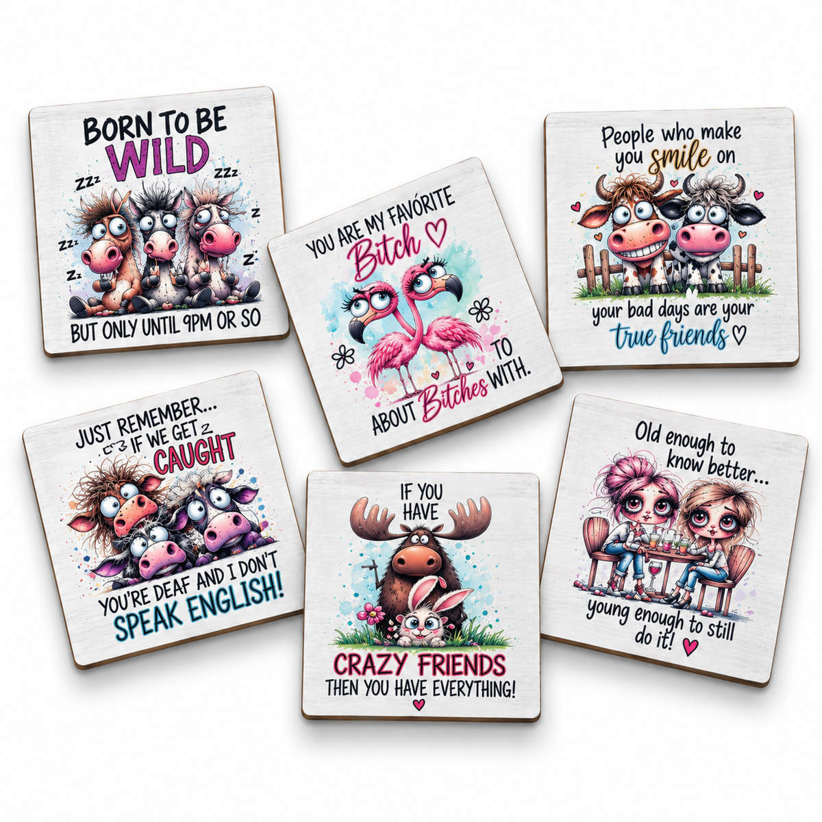 Sarcastic Coasters Set of 6 (C)