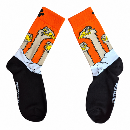 Big Bird Socks