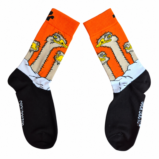 Big Bird Socks