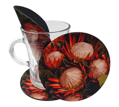 PROTEA COASTER