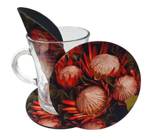 PROTEA COASTER — view 2